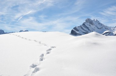 ayak izleri üstünde beyaz kar