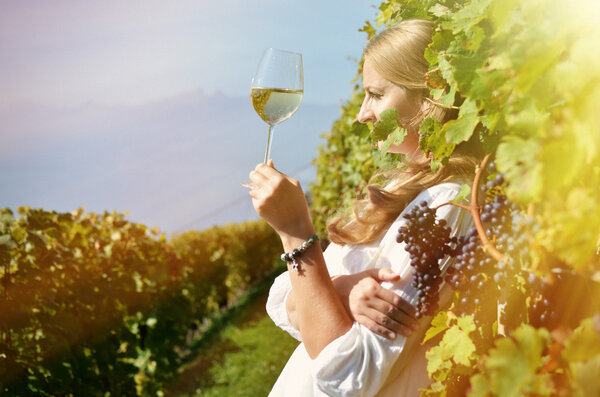 Дегустация вина в Лаво
