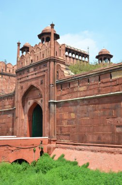 Red fort Delhi, Hindistan