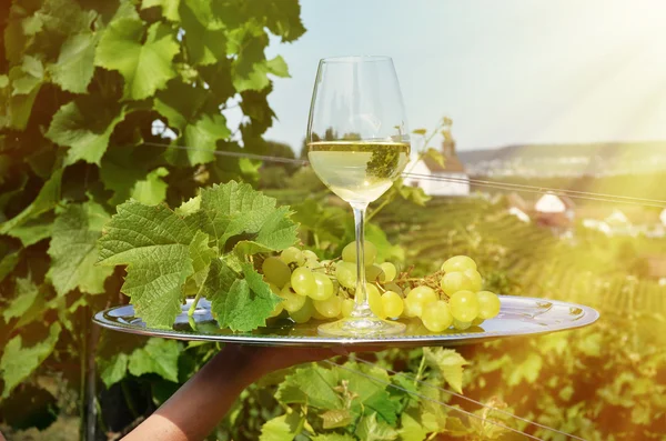 Wine and grapes  in Rheinau — Stock Photo, Image