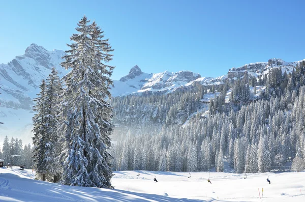 Braunwald, Switzerland at  winter — Stock Photo, Image