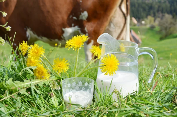 Milch und Kuh in der Schweiz — Stockfoto