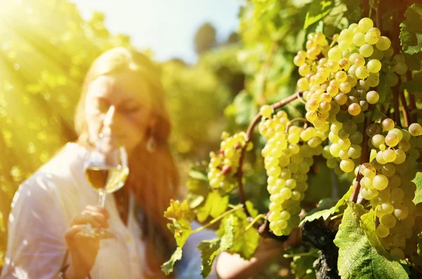 Girl in  vineyards, Lavaux — Stock Photo, Image