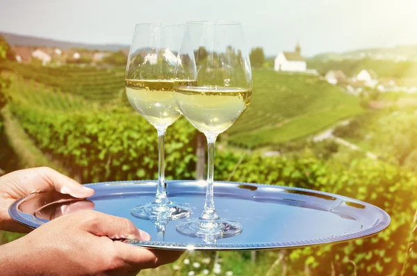 Vino in mano a Rheinau, Svizzera — Foto Stock