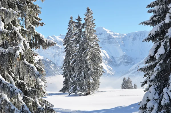 Invierno en Braunwald, Suiza — Foto de Stock