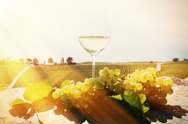 Şarap ve üzüm Lavaux içinde