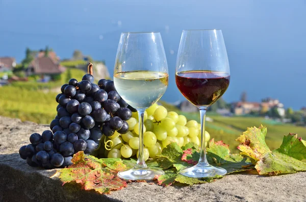 Vino y uvas en Suiza — Foto de Stock