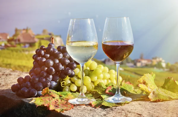 Wina i winogron w Szwajcarii — Zdjęcie stockowe