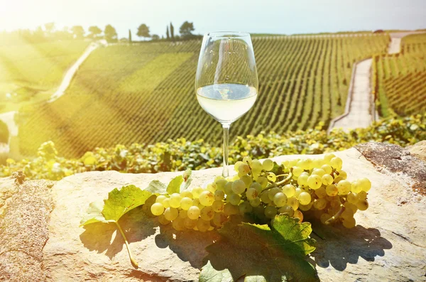 Vinho e uvas em Lavaux — Fotografia de Stock