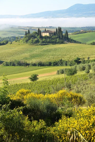 Typisch Toscaanse landschap. — Stockfoto