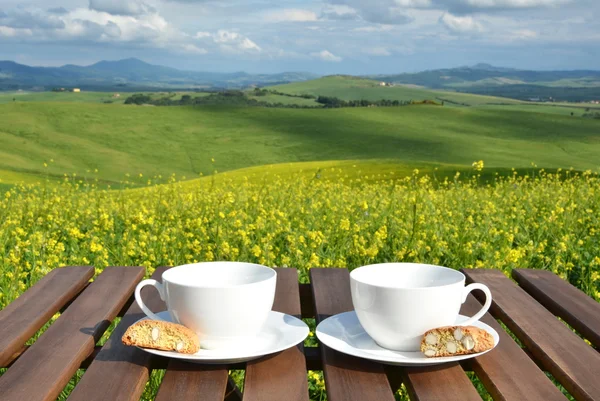 Dos tazas de café y cantuccini —  Fotos de Stock