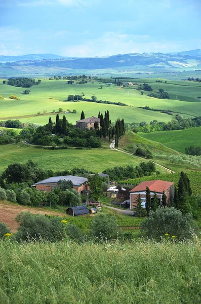 Typisch Toscaanse landschap. — Stockfoto