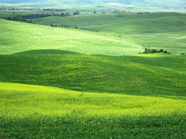 Krajobraz Toskanii, w pobliżu Pienza — Zdjęcie stockowe