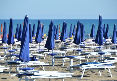 Marina di Grosetto içinde şemsiye
