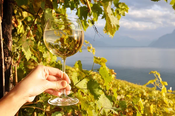 Wineglass kezében régióban lavaux — Stock Fotó
