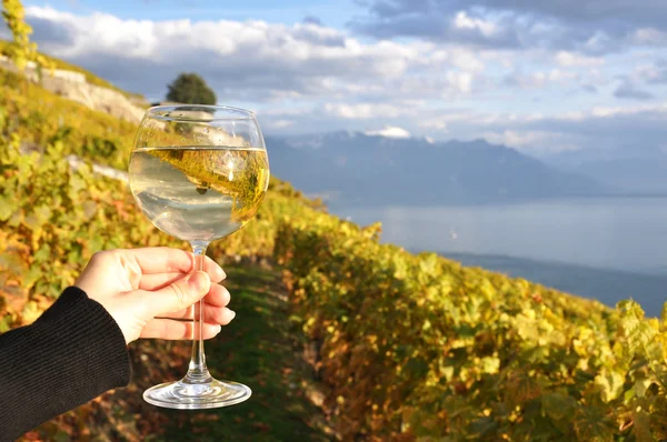 Verre à vin en main dans la région de Lavaux — Photo