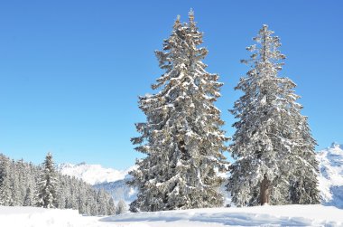 güzel kış aylarında braunwald