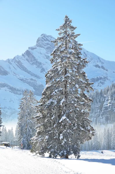 在 braunwald 美丽的冬天 — 图库照片