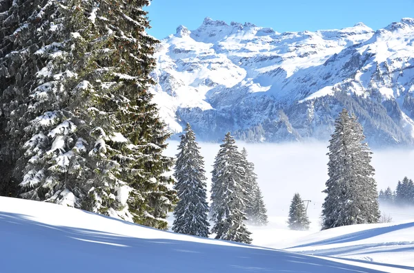 Schöner Winter in Braunwald — Stockfoto