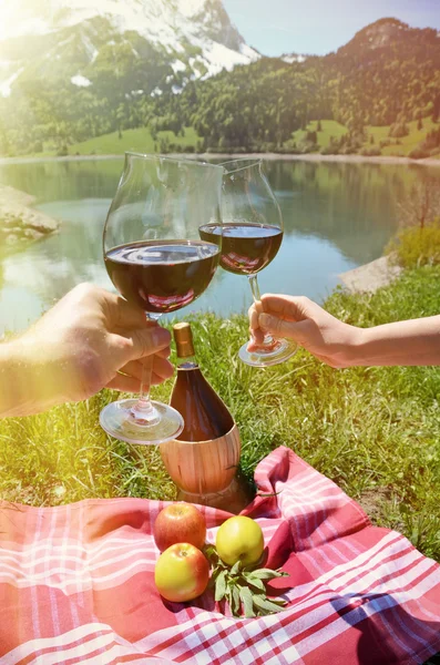 Wine and fruits served at picnic in Alpine — Stok fotoğraf