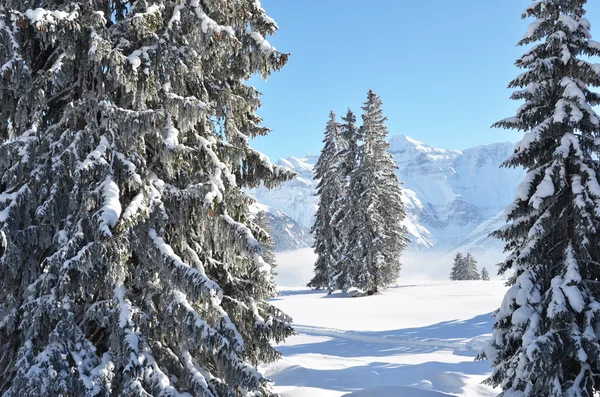 Braunwald, schweiz im winter — Stockfoto