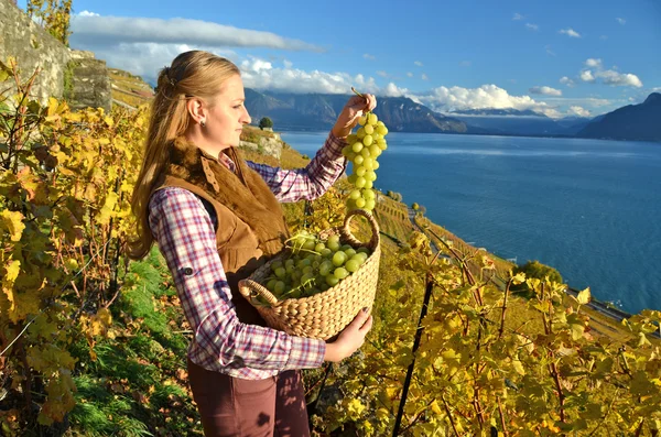 Girl with  basket full of grapes — Stock Photo, Image