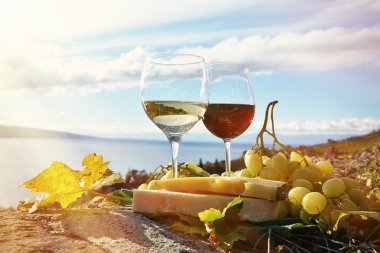 Şarap, üzüm ve Lavaux beyaz peynir