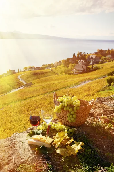 Vino, uvas y quesos en Lavaux —  Fotos de Stock