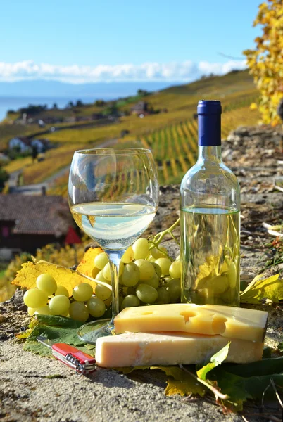 Вино, виноград и сыр, Швейцария — стоковое фото