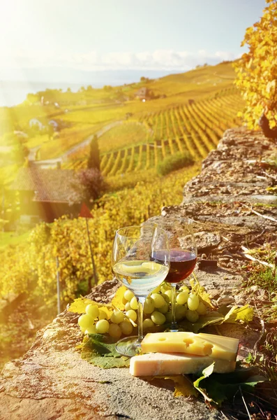 Wine, grapes and cheese. Lavaux — Stock Photo, Image