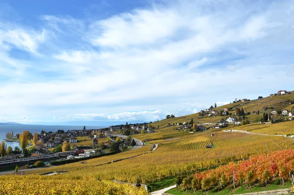 Weinberge in der Region Lavaux — Stockfoto
