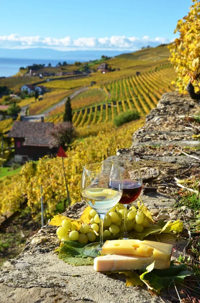 Wine, grapes and cheese. Lavaux — Stock Photo, Image