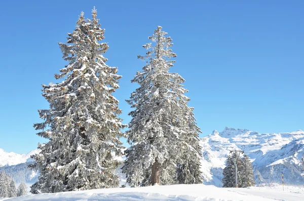 Braunwald，瑞士在冬天 — 图库照片