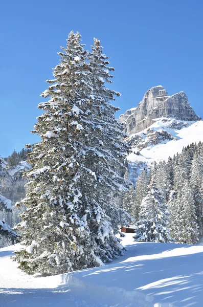 Braunwald，瑞士在冬天 — 图库照片