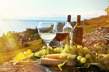 Şarap ve üzüm Lavaux içinde