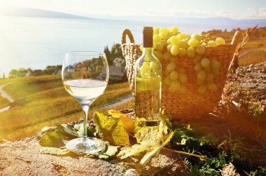 Şarap ve üzüm Lavaux içinde