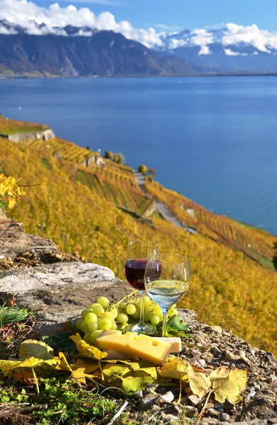 와인과 Lavaux 포도 — 스톡 사진