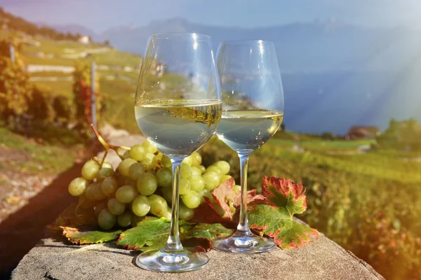 Vino y uvas en Lavaux — Foto de Stock