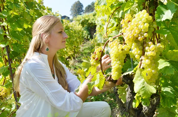 Woman with Ripe grapes in Lavaux — Stock Photo, Image