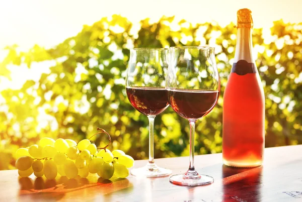 Wine bottle and glasses with  grapes — Stock Photo, Image