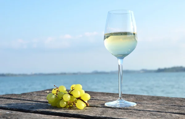 Wijn en druiven voor de natuur — Stockfoto