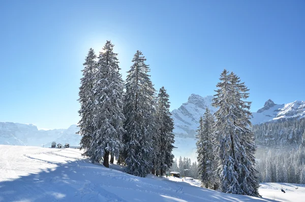 Braunwald, Schweiz i vinter — Stockfoto