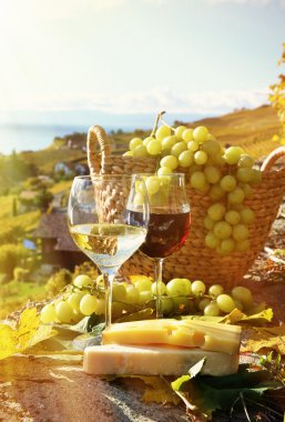 Şarap ve üzüm Lavaux içinde