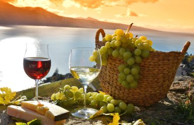 Şarap ve üzüm Lavaux içinde