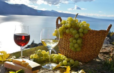 Şarap ve üzüm Lavaux içinde