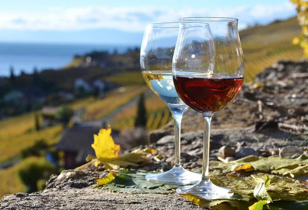 Vino y uvas en Lavaux —  Fotos de Stock