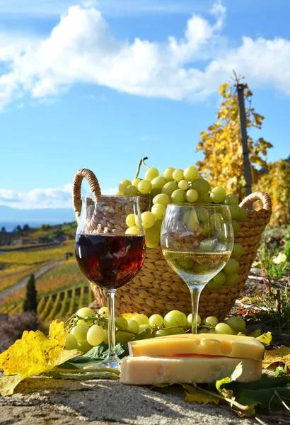 Vino y uvas en Lavaux — Foto de Stock