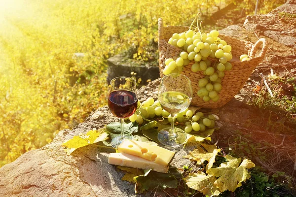 Şarap ve üzüm Lavaux içinde