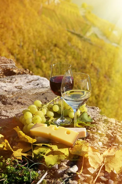 Wine and grapes in  Lavaux — Stock Photo, Image