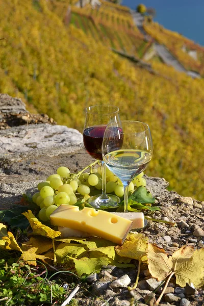 Vinho e uvas em Lavaux — Fotografia de Stock